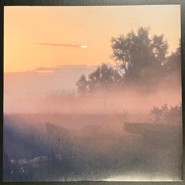 Twin Color (Vol.1)(VINYL) | Mint (M) Mint (M) Get Cheap Vinyl
