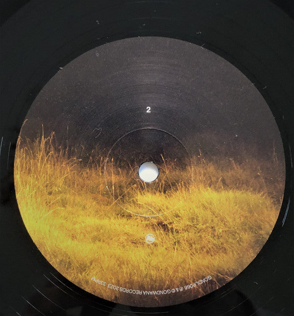 Ghosts | Mint (M) Mint (M) Get Cheap Vinyl