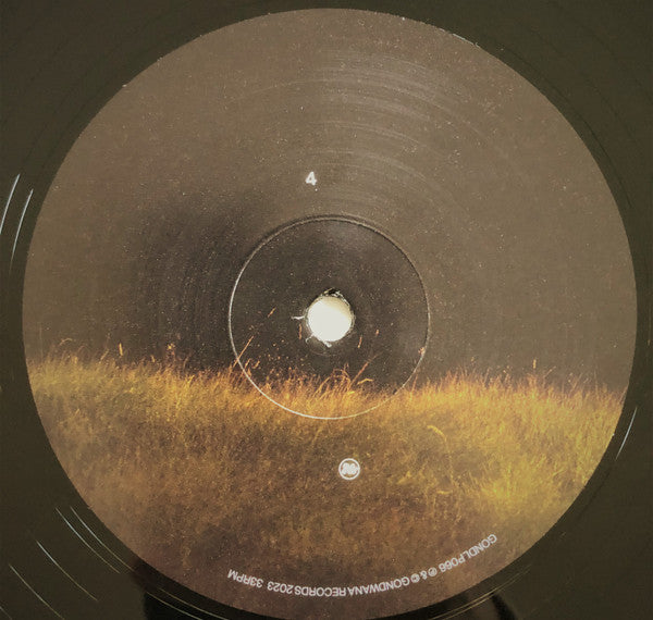 Ghosts | Mint (M) Mint (M) Get Cheap Vinyl