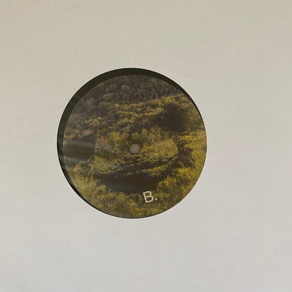Six Songs For Invisible Gardens | Mint (M) Mint (M) Get Cheap Vinyl