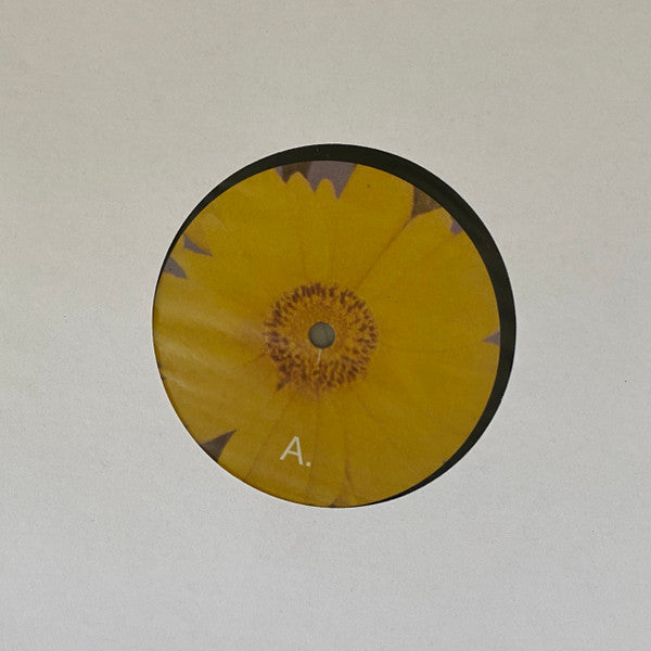 Six Songs For Invisible Gardens | Mint (M) Mint (M) Get Cheap Vinyl