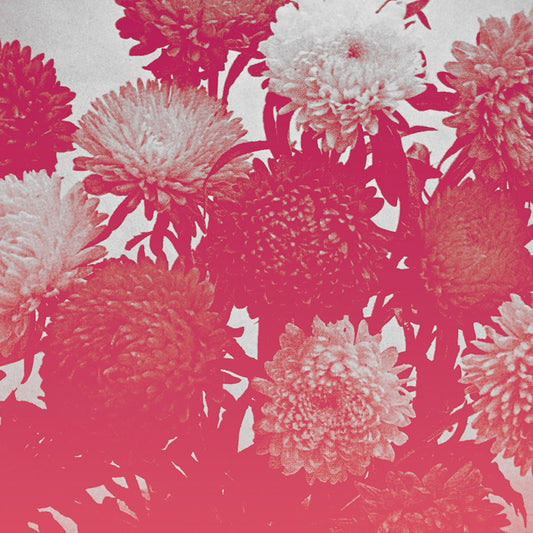 broken things | Mint (M) Mint (M) Get Cheap Vinyl