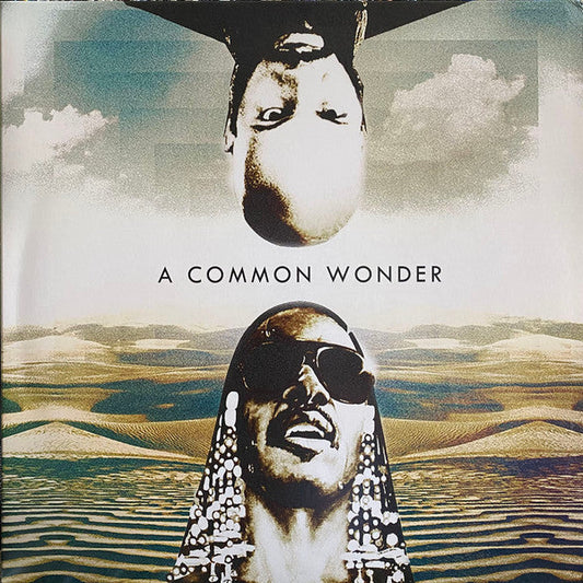 A Common Wonder | Mint (M) Mint (M) Get Cheap Vinyl