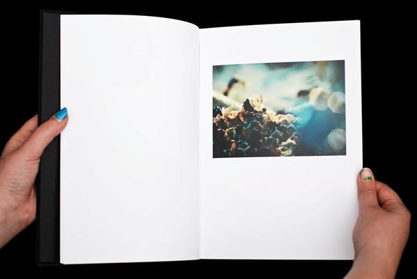 ISAM (Control Over Nature) | Mint (M) Mint (M) Get Cheap Vinyl