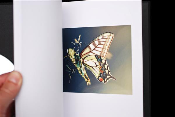 ISAM (Control Over Nature) | Mint (M) Mint (M) Get Cheap Vinyl