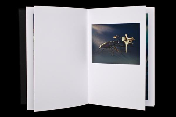 ISAM (Control Over Nature) | Mint (M) Mint (M) Get Cheap Vinyl