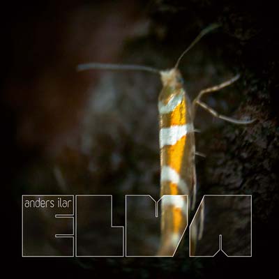 Elva | Get Cheap Vinyl