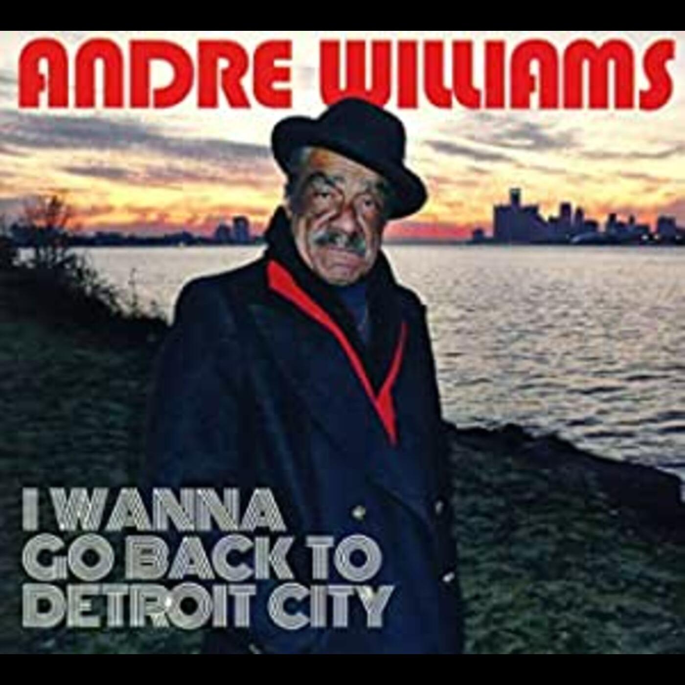 I WANNA GO BACK TO DETROIT CITY | Get Cheap Vinyl