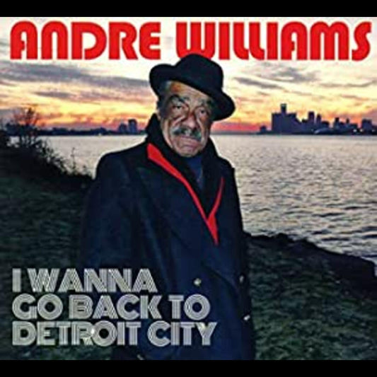 I WANNA GO BACK TO DETROIT CITY | Get Cheap Vinyl
