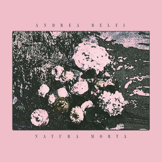 Natura Morta | Get Cheap Vinyl