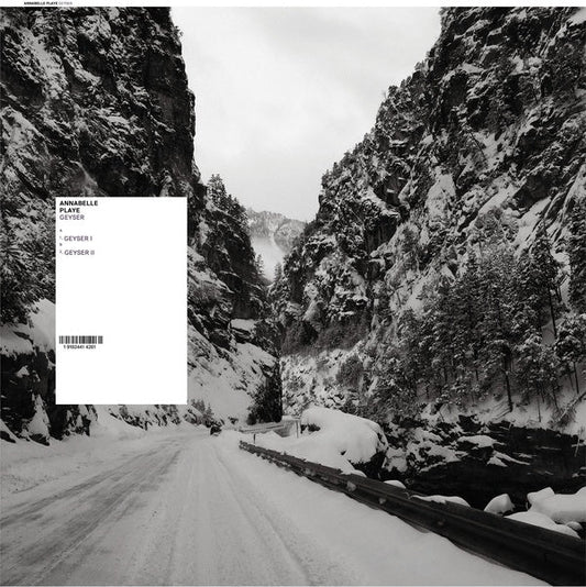 Geyser | Get Cheap Vinyl