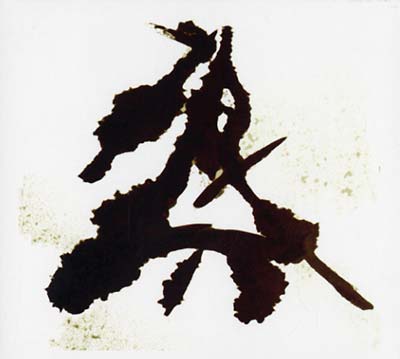 Einzelkämpfer (Lone Warrior) | Get Cheap Vinyl