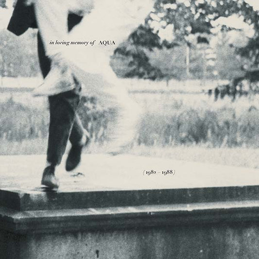 In Loving Memory of Aqua (1982-1988) | Get Cheap Vinyl
