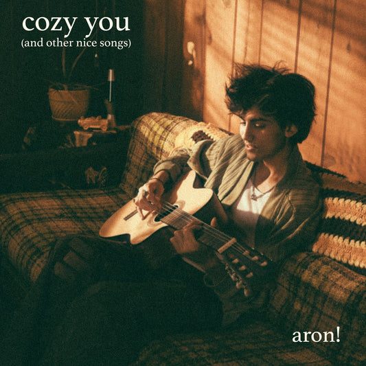 Cozy You (And Other Nice Songs) | Get Cheap Vinyl