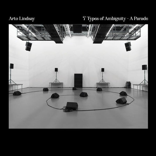 7 Types of Ambiguity - A Parade | Get Cheap Vinyl