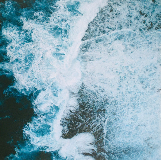 The Waves | Mint (M) Mint (M) Get Cheap Vinyl