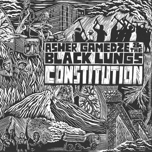 Constitution | Get Cheap Vinyl