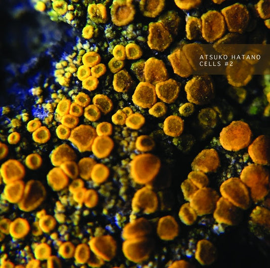 Cells #2 | Get Cheap Vinyl