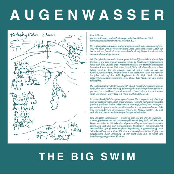 The Big Swim | Get Cheap Vinyl