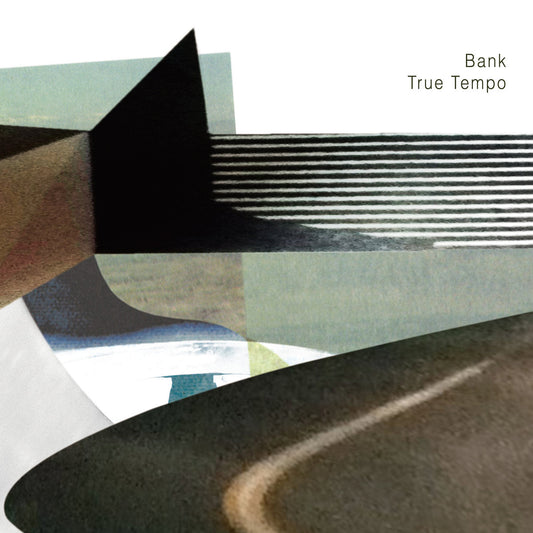 True Tempo | Get Cheap Vinyl