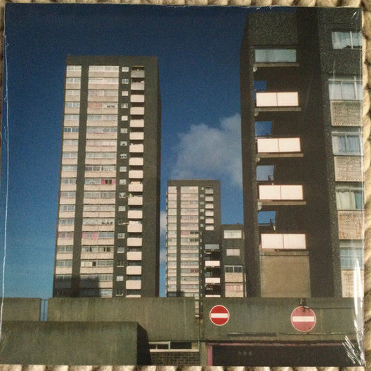 Electronic Labyrinth | Mint (M) Mint (M) Get Cheap Vinyl