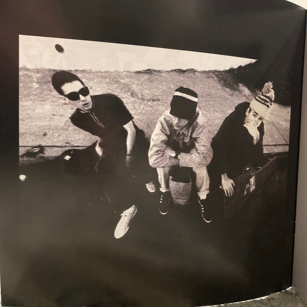 Check Your Head | Mint (M) Mint (M) Get Cheap Vinyl