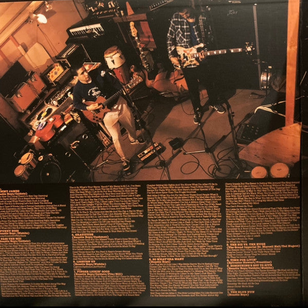 Check Your Head | Mint (M) Mint (M) Get Cheap Vinyl