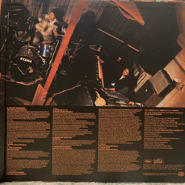 Check Your Head | Mint (M) Mint (M) Get Cheap Vinyl