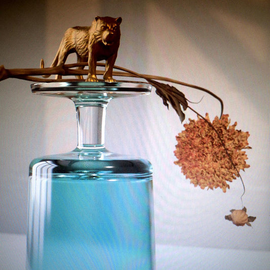 Gallipoli (VINYL) | Mint (M) Mint (M) Get Cheap Vinyl