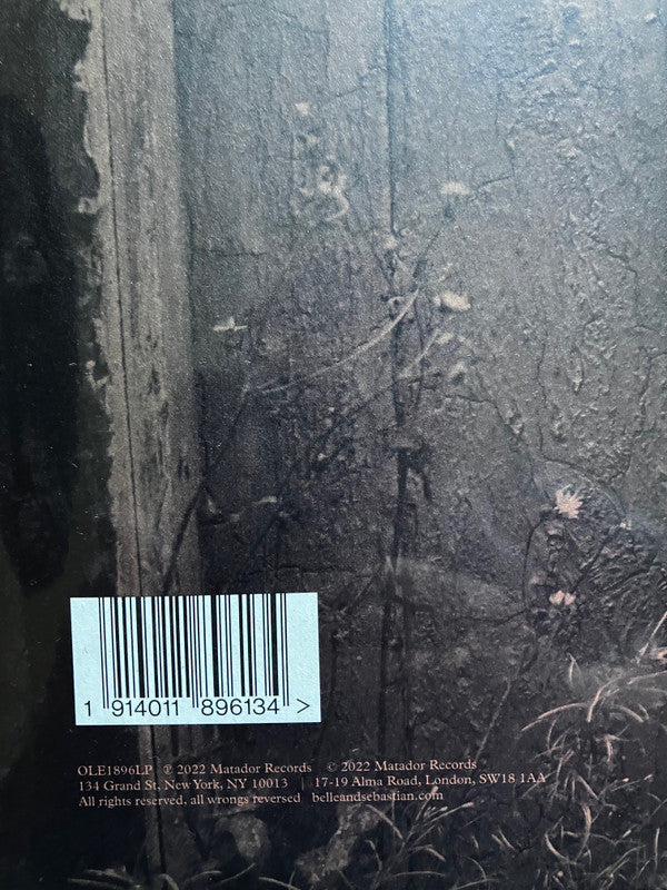 Late Developers | Mint (M) Mint (M) Get Cheap Vinyl