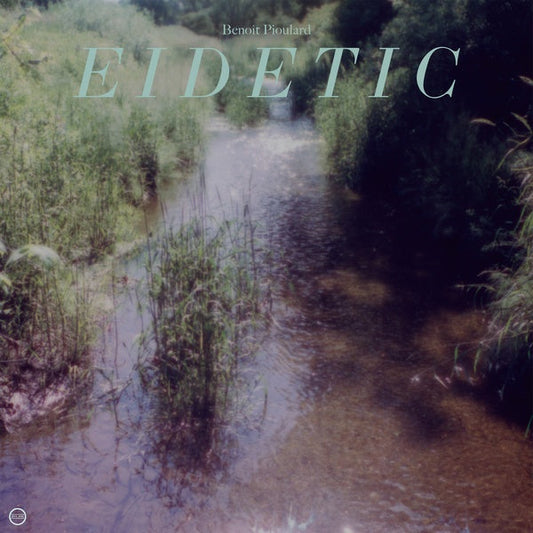 Eidetic | Get Cheap Vinyl