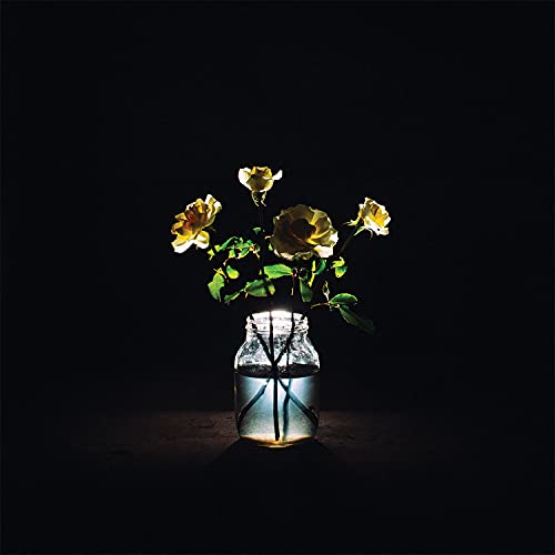Renewal (180 Gram Vinyl) (2 Lp's) | Mint (M) Mint (M) Get Cheap Vinyl