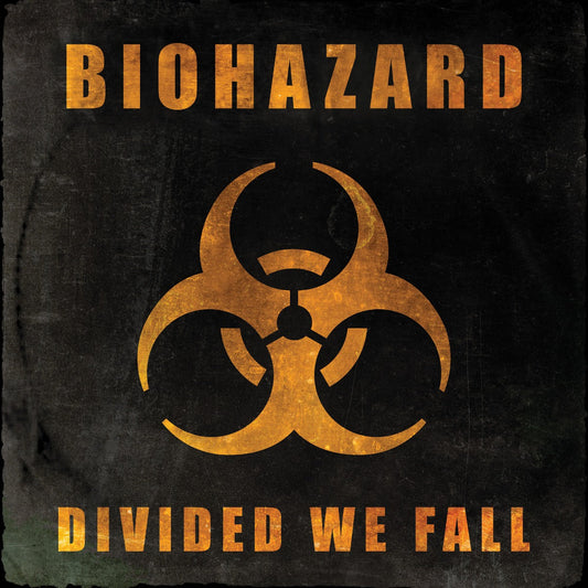 Divided We Fall | Get Cheap Vinyl