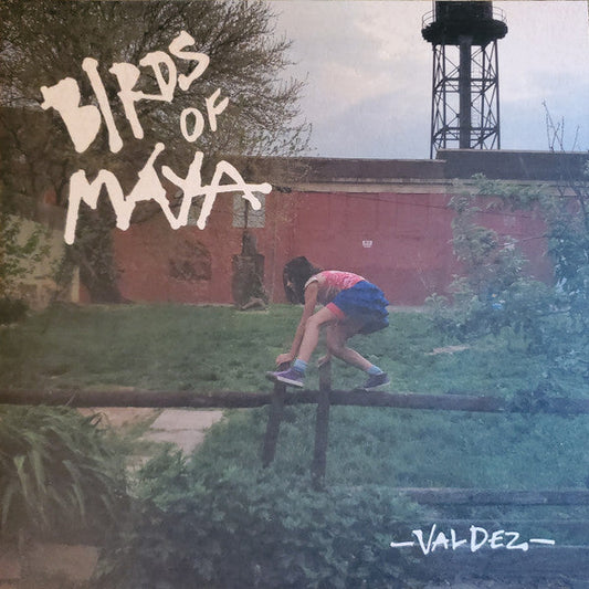 Valdez | Mint (M) Mint (M) Get Cheap Vinyl