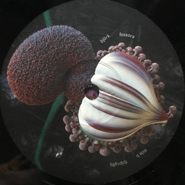 Fossora | Mint (M) Mint (M) Get Cheap Vinyl