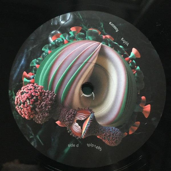 Fossora | Mint (M) Mint (M) Get Cheap Vinyl