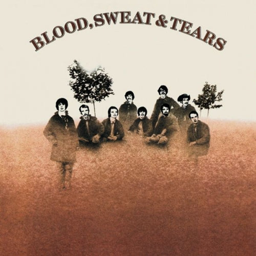 Blood Sweat & Tears | Get Cheap Vinyl