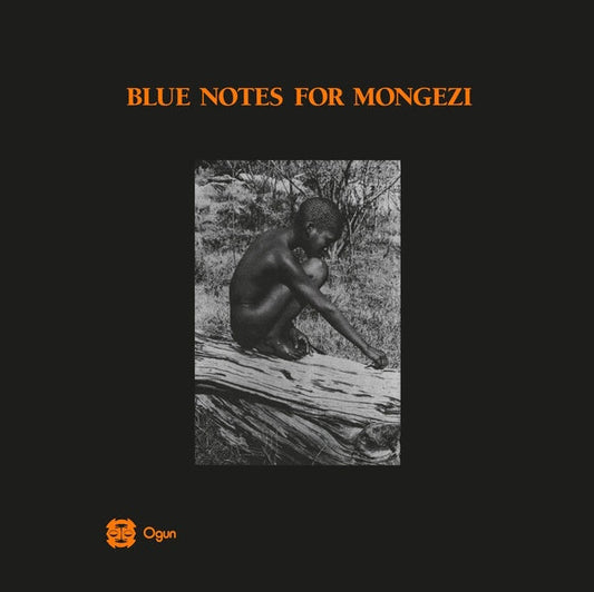 Blue Notes For Mongezi | Get Cheap Vinyl