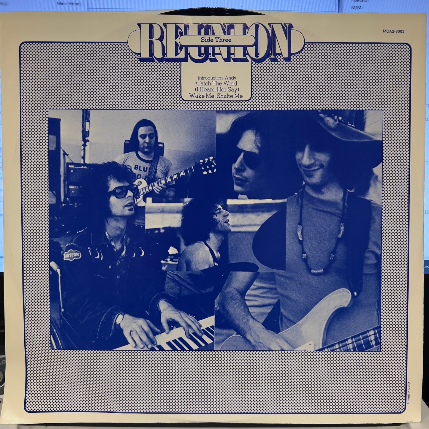Reunion In Central Park | Near Mint (NM) Near Mint (NM) Get Cheap Vinyl