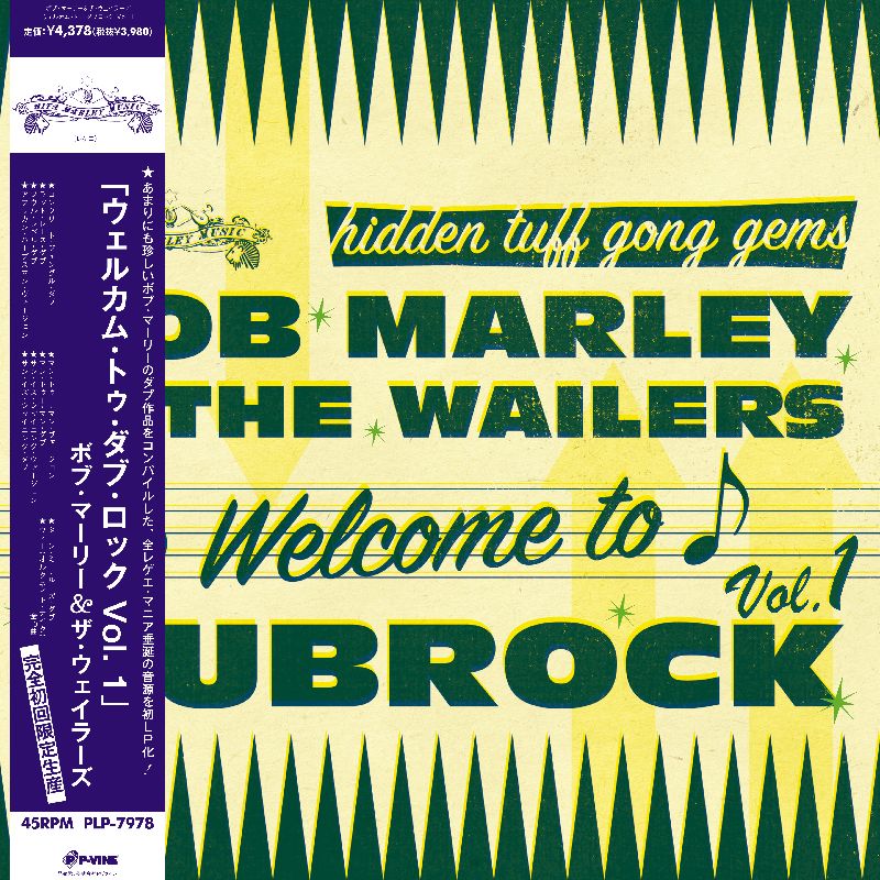 Welcome To Dubrock | Get Cheap Vinyl