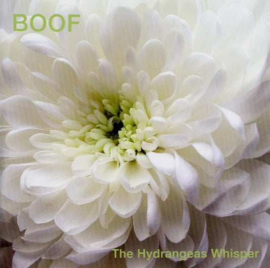 The Hydrangeas Whisper | Get Cheap Vinyl