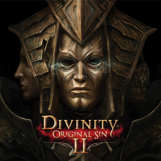 Divinity Original Sin 2 | Get Cheap Vinyl
