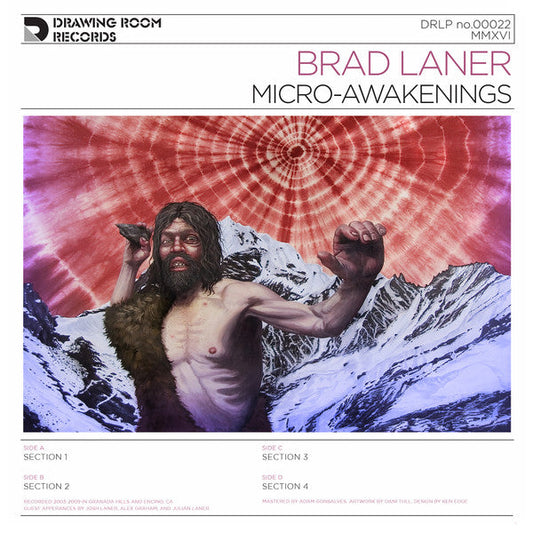 Micro-Awakenings | Mint (M) Mint (M) Get Cheap Vinyl
