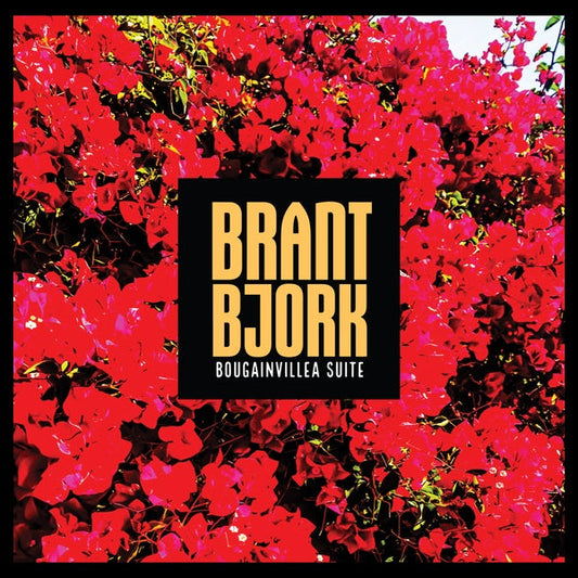 Bougainvillea Suite | Get Cheap Vinyl