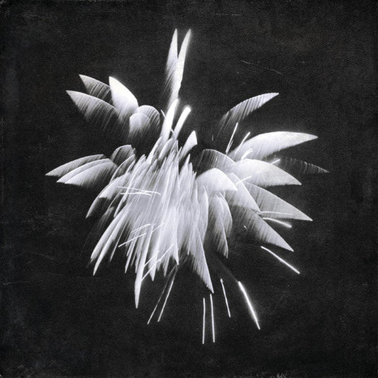 New Morning Howl | Mint (M) Mint (M) Get Cheap Vinyl
