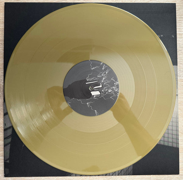 Digital Ash In A Digital Urn (A Companion) | Mint (M) Mint (M) Get Cheap Vinyl