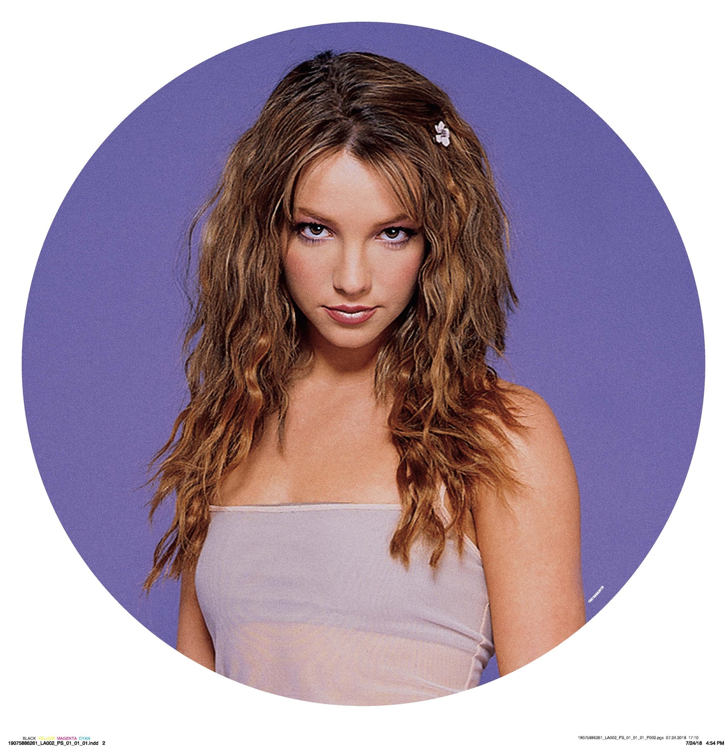 Baby One More Time (Picture Disc) | Mint (M) Mint (M) Get Cheap Vinyl