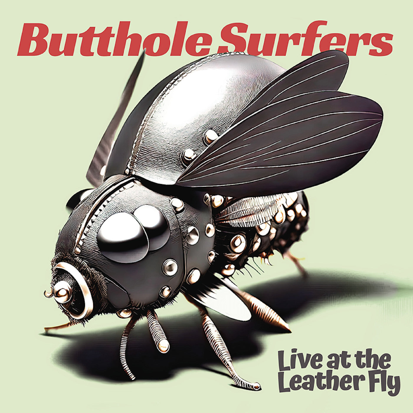 Live At The Leather Fly (Opaque Pink Vinyl) | Mint (M) Mint (M) Get Cheap Vinyl