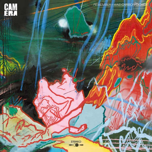 Remember I Was Carbon Dioxide | Get Cheap Vinyl