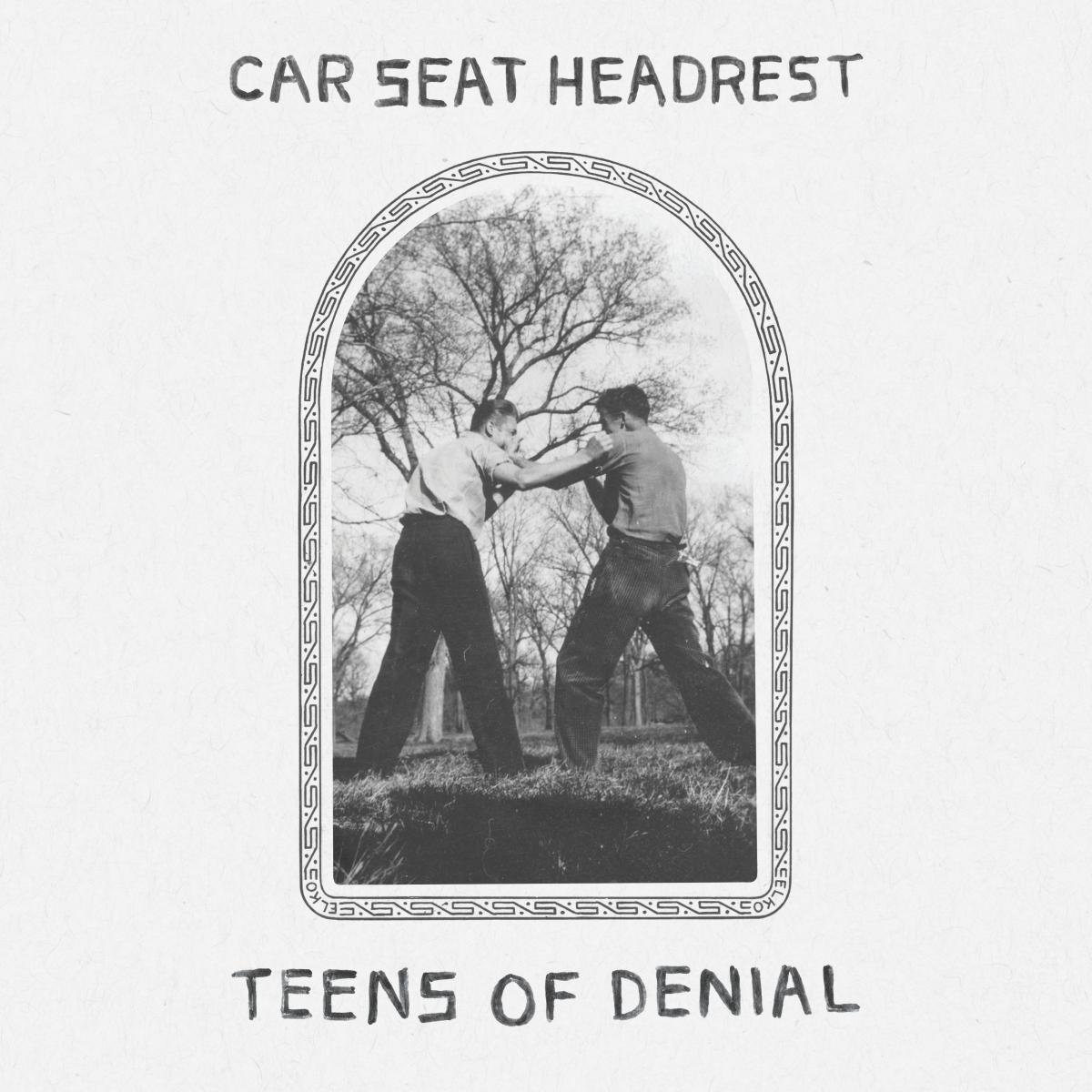 Teens Of Denial [LP] | Mint (M) Mint (M) Get Cheap Vinyl